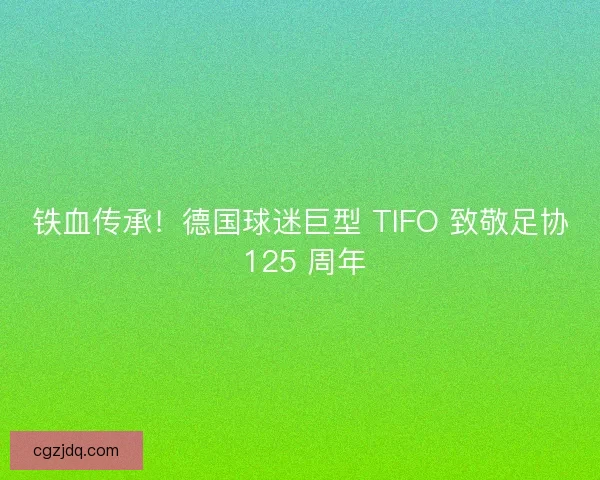 铁血传承！德国球迷巨型 TIFO 致敬足协 125 周年
