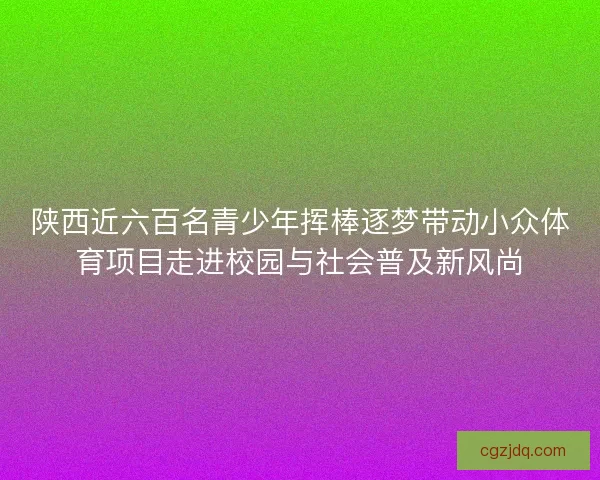 陕西近六百名青少年挥棒逐梦带动小众体育项目走进校园与社会普及新风尚 陕西近六百名青少年挥棒逐梦带动小众体育项目走进校园与社会普及新风尚