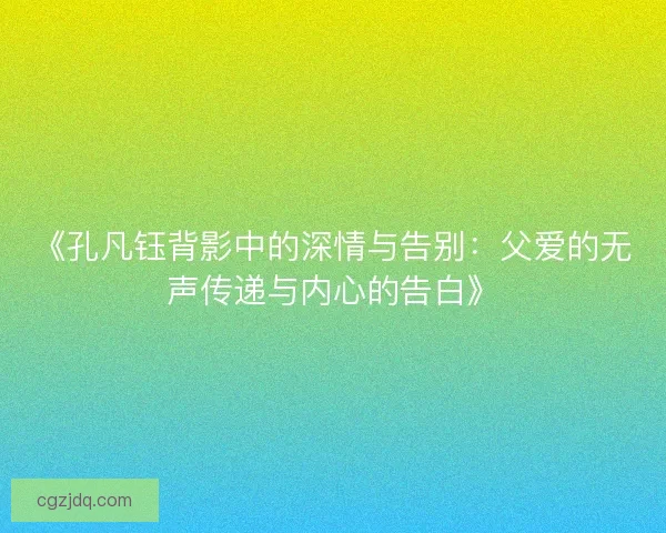 《孔凡钰背影中的深情与告别：父爱的无声传递与内心的告白》
