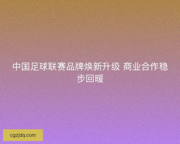 中国足球联赛品牌焕新升级 商业合作稳步回暖